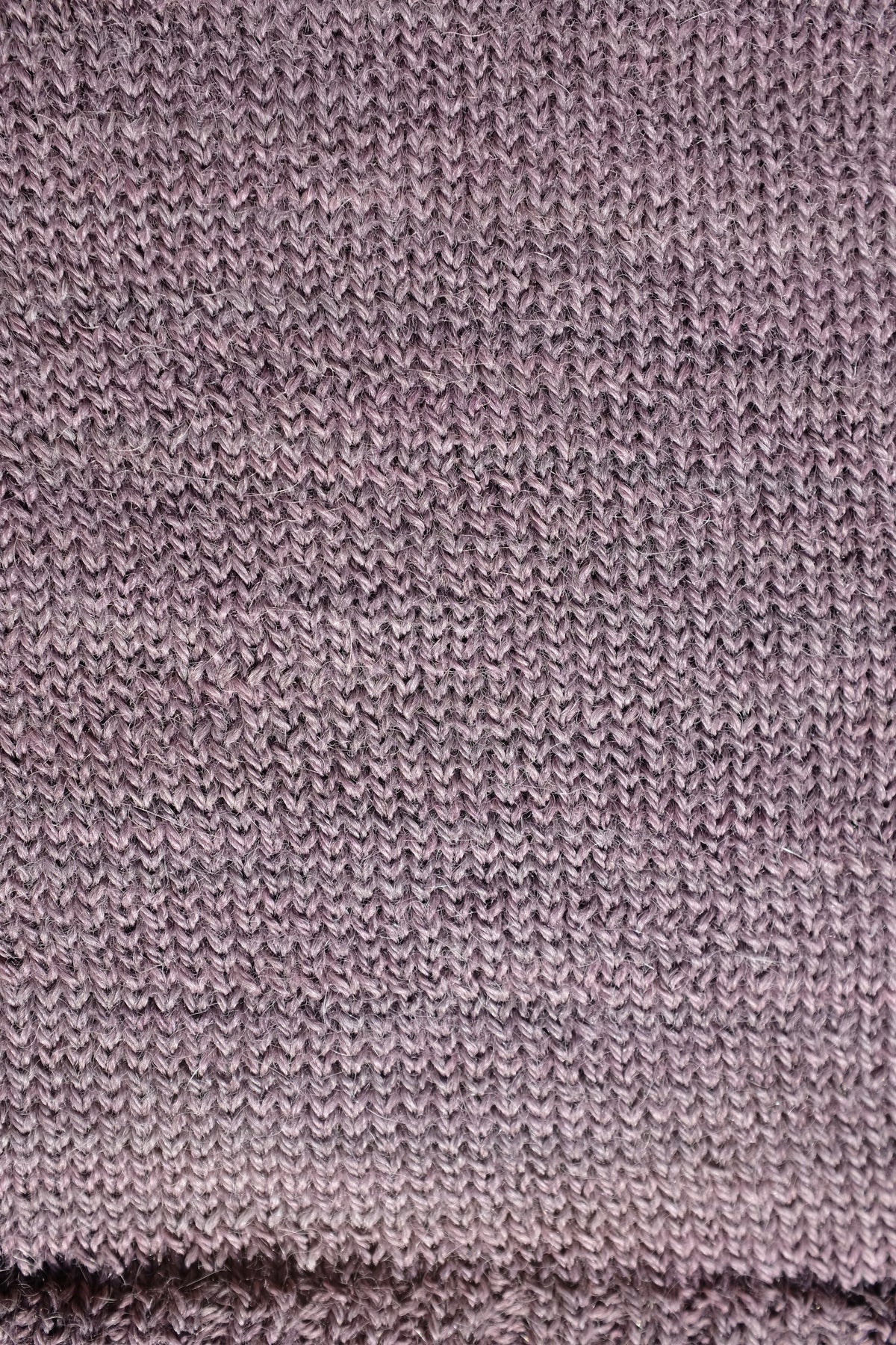 502/ Alpaca Henley / Larkspur