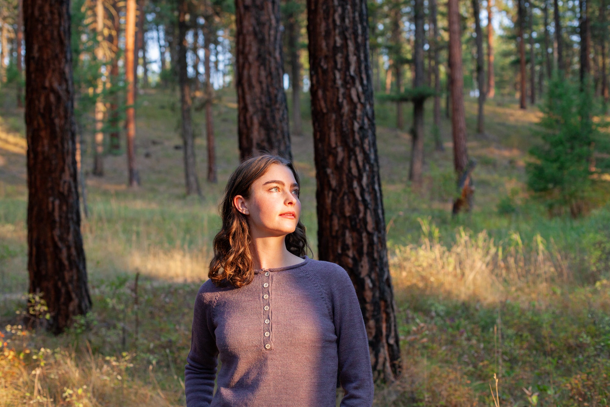 502/ Alpaca Henley / Larkspur